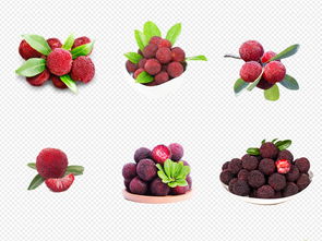 創意無限 卡通實物楊梅水果店海報PNG素材模板全攻略